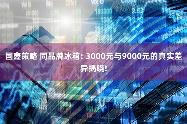 国鑫策略 同品牌冰箱: 3000元与9000元的真实差异揭晓!